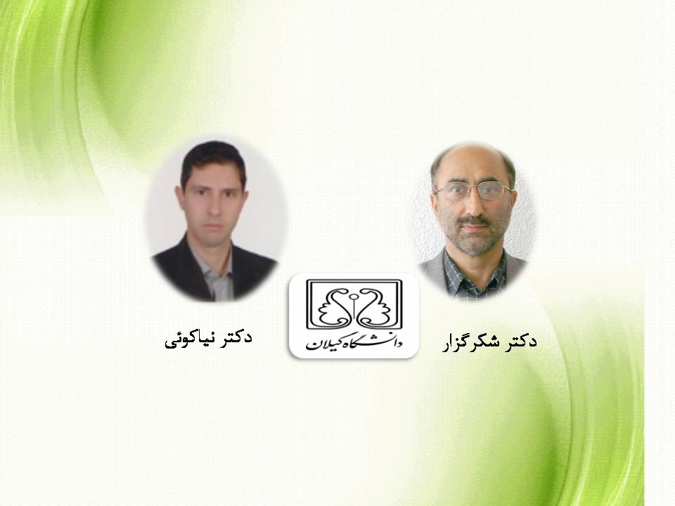 تصویر کوچک